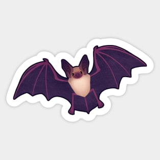 Pallid Bat 1 Sticker